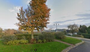 Mooie groenstrook met gras en beplanting gerealiseerd door Dorpsraad Brakel aan de Terpstoep te Brakel. 