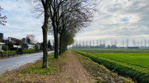 Schelpenpad aangelegd in de berm, dat loopt vanaf de Burgemeester Posweg tot aan de Rietsingel in Brakel.