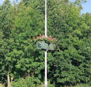 Kleurrijke bloembakken aan lantaarnpalen in Brakel. 